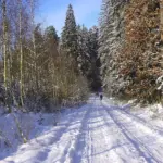 10 gode tips til at holde vægten henover julen